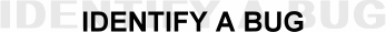 Identify A Bug